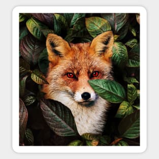 FOX Sticker